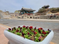 수원시 화성사업소,   2021 수원화성 주변 녹지 유지·관리 조성 기간 운영