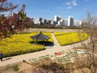 영천시, 시민행복 도시공원 조성