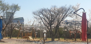 경산교육지원청 유아교육체험센터, 유아 눈높이 동영상 제작