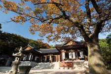 [서울 명(소)장(인)을 찾아서-88] 도심속 발길이 머무는 사찰 길상사