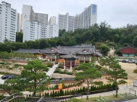 [위성지여행작가 2000년수도서울탐방기81-성북구②] 흥천사와 봉국사