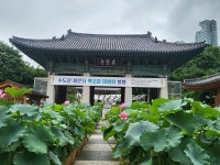 [김경은 여행작가의 서울이야기-강남구①] 봉은사
