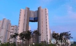 한 명이 세종시 아파트 442채 구입