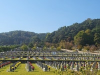 [김경은 여행작가의 서울이야기-동작구⑤] 현충원