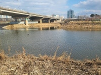 [김경은 여행작가의 서울이야기-양천구①] 안양천의 역사