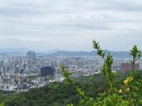 [김경은 여행작가의 서울이야기-용산구②] 남산 그 두번째 이야기