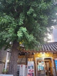 [김경은 여행작가의 서울이야기-마포구③] 외국인 선교사 묘원과 아소정