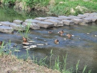 [김경은 여행작가의 서울이야기-마포구⑦] 불광천과 월드컵 공원
