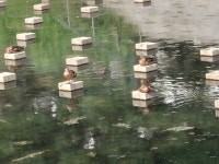 [김경은 여행작가의 서울이야기-마포구⑦] 불광천과 월드컵 공원