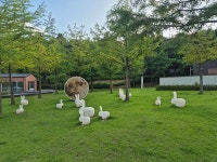 [김경은 여행작가의 서울이야기-마포구⑦] 불광천과 월드컵 공원