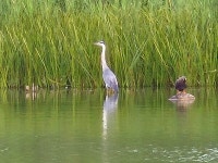 [김경은 여행작가의 서울이야기-마포구⑦] 불광천과 월드컵 공원
