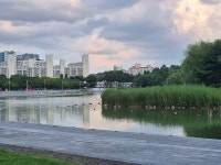 [김경은 여행작가의 서울이야기-마포구⑦] 불광천과 월드컵 공원
