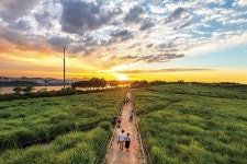 [서울 명(소)장(인)을 찾아서-176] 문화비축기지 한눈에 보이는  매봉 상암길