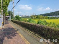 [특별기획] 의정부시,  걷고 싶은 도시 조성에 박차!...전국 최초 걷고싶은도시국 신설