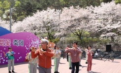 전국 최대 산벚꽃 자생 군락지로 초대합니다