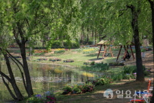 2025고양국제꽃박람회, 고양로컬가든 조성...약 5,000㎡ 규모의 꽃밭