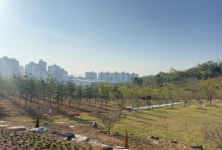 군산 기후대응도시숲 새들허브숲 모습 드러낸다