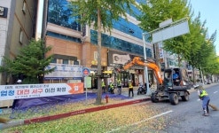 대전시, 은행나무 암나무 2,500 그루 교체