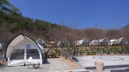 [특별기획] 수원특례시, 봉화군과 상생으로 만든 힐링 쉼터...청량산 수원캠핑장에서 새봄을 즐겨보다