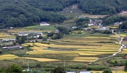 李 