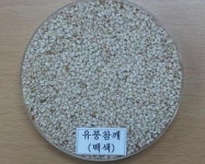 참기름 전용 참깨 ‘유풍’보급종 공급