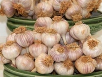 “웰빙식품 마늘 반찬 간식용 최고”