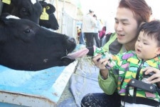 국산 흰 우유 안전하고 깨끗해요