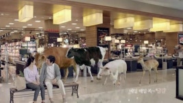 ‘신선하고 건강한 우리축산’ 널리 알린다