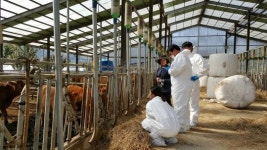 “최고 수준 가축질병 진료 지원”