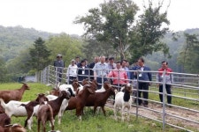 ‘산지생태축산’ 국내 적용 가능성 확인