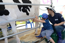 도심으로 온 작은 목장, 우유의 날 & 국내산 치즈페스티벌 개최