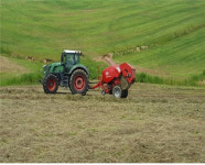 해발 800미터 대관령, 한우 겨울나기 준비 한창