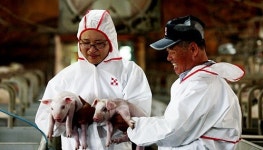 퓨리나 슈퍼맘 케어 500 반응 후끈후끈