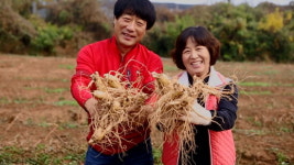 당진 농산물 품질 경쟁력 쑥쑥