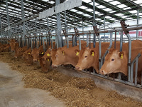 2018년,17년 이어 깨끗한 축산 농장 750호 조성 예정