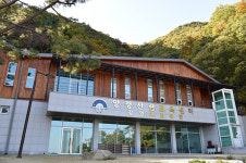 산림교육프로그램 참가자 모집