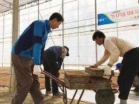 농협경제지주 양곡부, 農心품기 위해 농촌 일손돕기 구슬땀