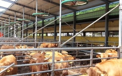 매월 10일은 축산환경 개선의 날