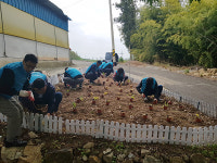 [농업브리프_경상] 명품 고추 생산...탄저병, 진딧물 등 병해충 방제 철저 外