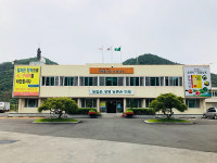 [농업브리프_전라] 국내산 목이버섯 현유품종 본격 생산 外