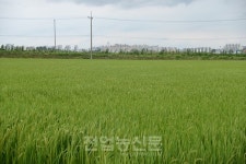 농지취득자격증명, 온라인으로 간편하게!