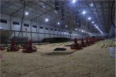 깨끗한 축산농장 조성박차