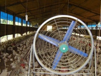 연이은 폭염에 농축산물 비상...관계부처 총력 대응