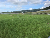 [농업브리프_경상] 추석 명절 선물 포항마켓에서 구입하세요 外