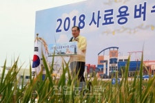 국내산 조사료 생산확대로 사료 자급률 개선