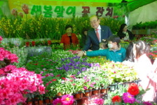 꽃 구경 관악농협으로 오세요