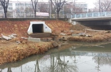 안산 화정천, 생태탐방로 공사 지지부진