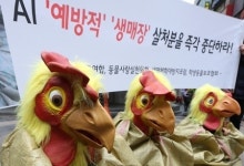 AI 발생 화성 축산농가 정부, 수매 빨리 결정을