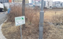 이마트 광주점, 입양도로 못 가꿀 망정 먼지 투기