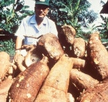 검은 대륙 희망으로 개척한 아프리카 씨앗박사 한상기